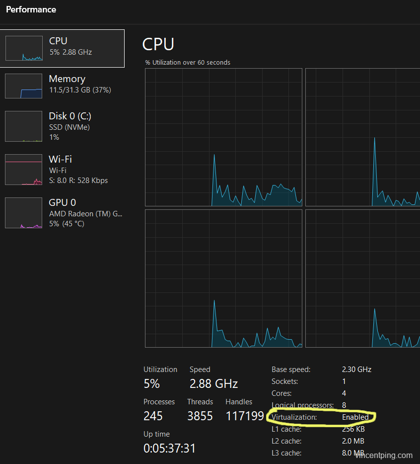 Check Virtualization